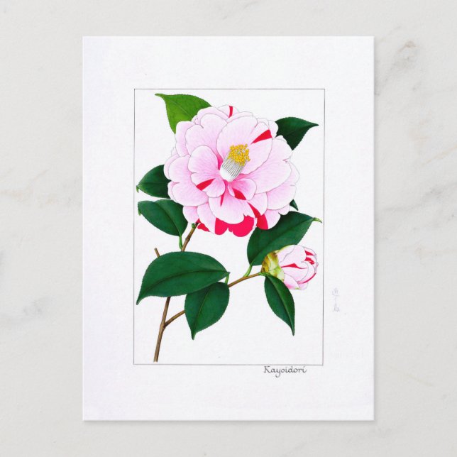 Carte Postale Assiette Camellia : Kayoidori (Devant)