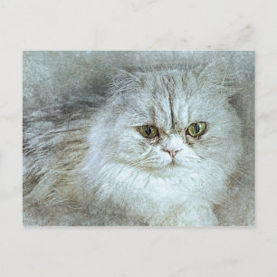 Carte Postale Assis Jolie Kitty   ABSTRAIT   Aquarelle