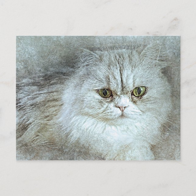 Carte Postale Assis Jolie Kitty | ABSTRAIT | Aquarelle (Devant)