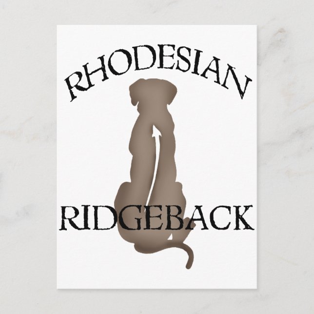 Carte Postale Assis Rhodesian Ridgeback avec texte (Devant)