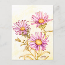Aster à fleur d'eau aquarelle botanique