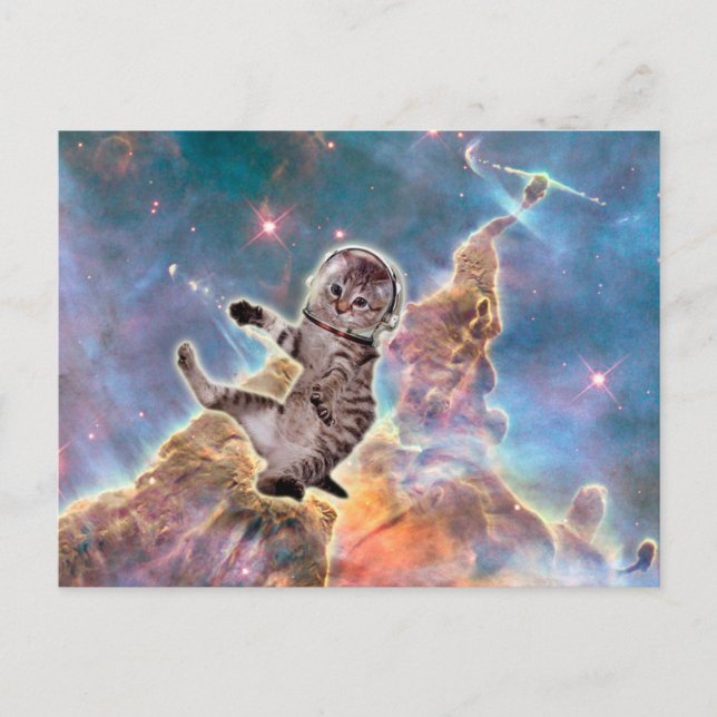 Carte Postale astronaute du chat gras (Devant)
