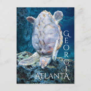 Carte Postale Atlanta Georgia Turtle Dive