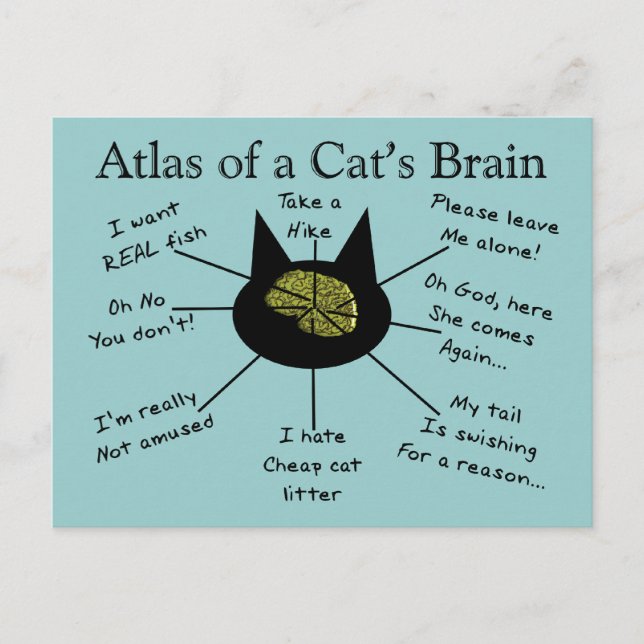 Carte Postale Atlas Of a Cat's Brain (Devant)