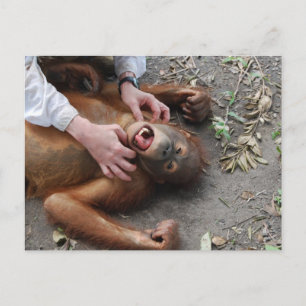 Carte Postale Attaque de l'Alien du film Monster