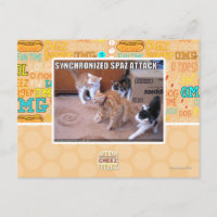 Attaque Spaz Sychronisée