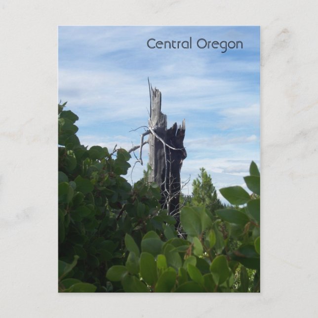 Carte Postale atteindre (Devant)