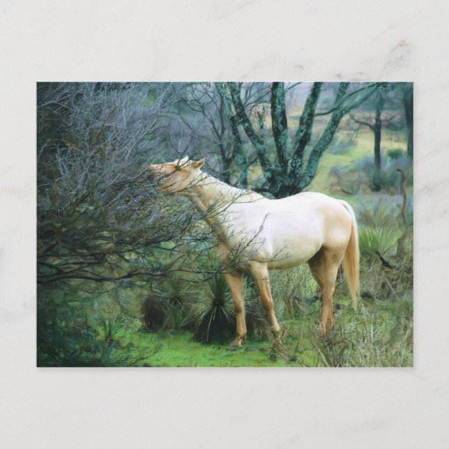 Carte Postale Atteindre haut pour dîner (Devant)