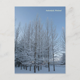 Carte Postale Atteindre le ciel