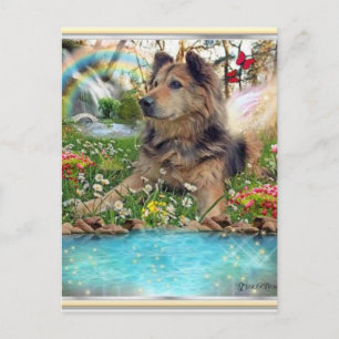 Carte Postale Attente Sur Rainbow Bridge