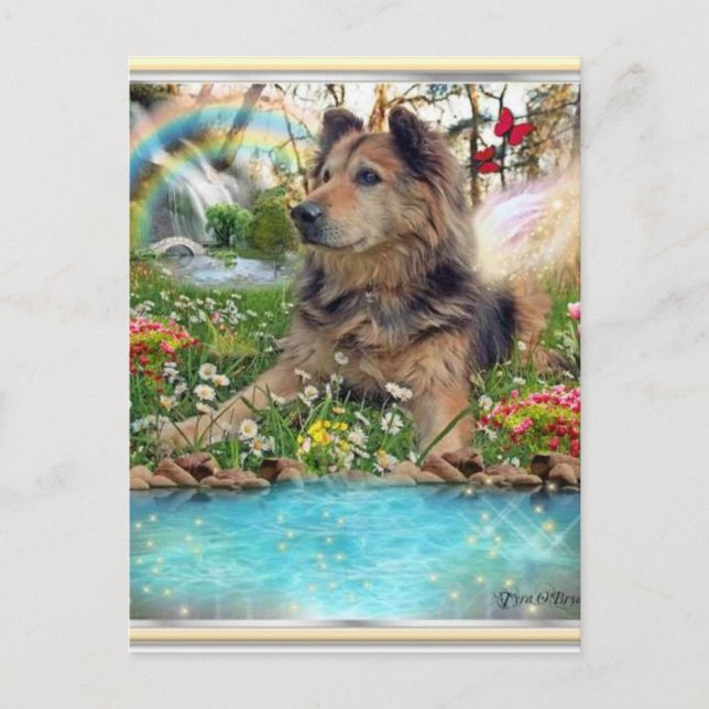 Carte Postale Attente Sur Rainbow Bridge (Devant)