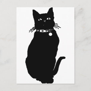 Carte Postale Attention au chat noir
