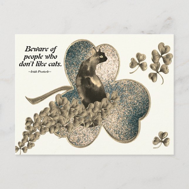 Carte Postale Attention aux gens qui n'aiment pas les chats (Devant)