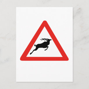 Carte Postale Attention Kudus, signalisation, Afrique du Sud