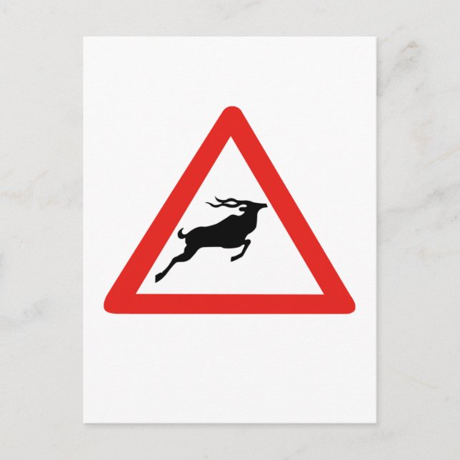 Carte Postale Attention Kudus, signalisation, Afrique du Sud (Devant)