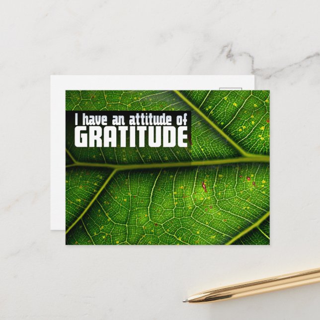 Carte Postale "Attitude de gratitude" Motivation Affirmation (Devant/Arrière en situation)