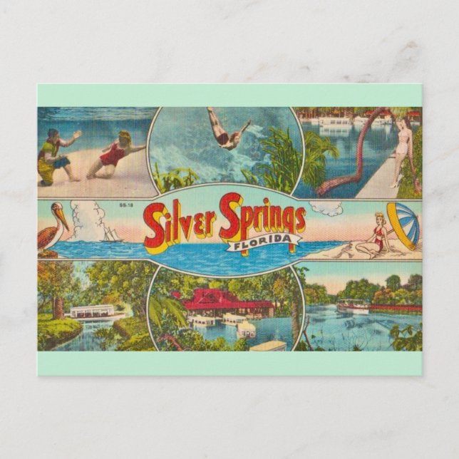 Carte Postale Attraction de Silver Springs à l'ancienne  (Devant)