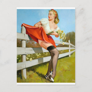 Carte Postale Attrapé sur la pointe de clôture