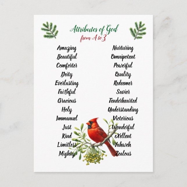 Carte Postale Attributs de Dieu Noël Oiseaux et Branches (Devant)