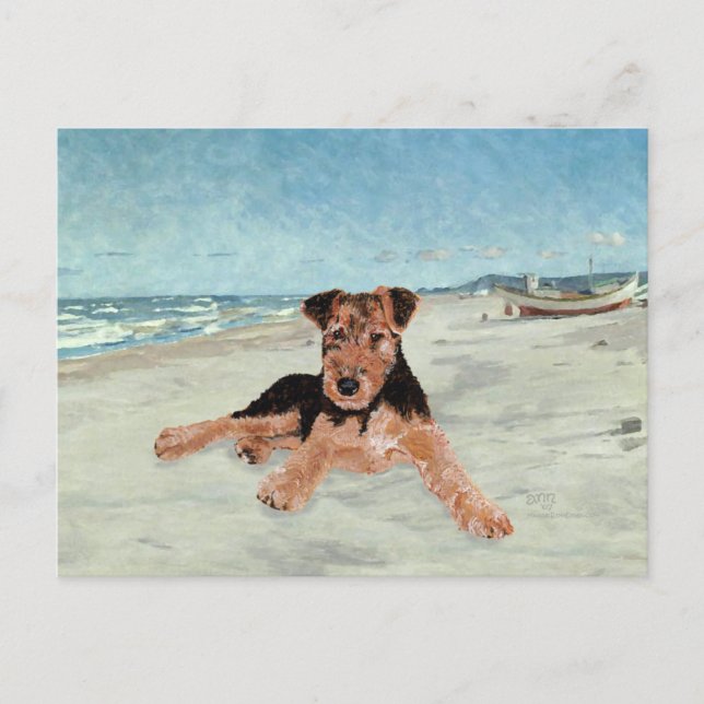 Carte Postale Au bord de la mer (Devant)