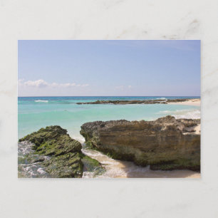 Carte Postale Au Bord De La Mer Des Caraïbes