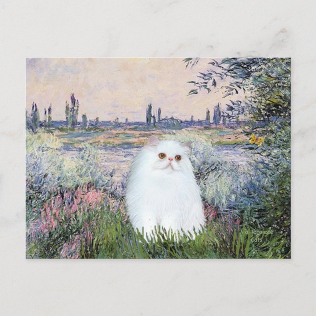 Carte Postale Au bord de la Seine - Chat persan blanc #49 (Devant)