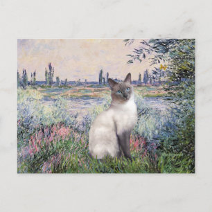 Carte Postale Au bord de la Seine - Chat siamois pointe bleue
