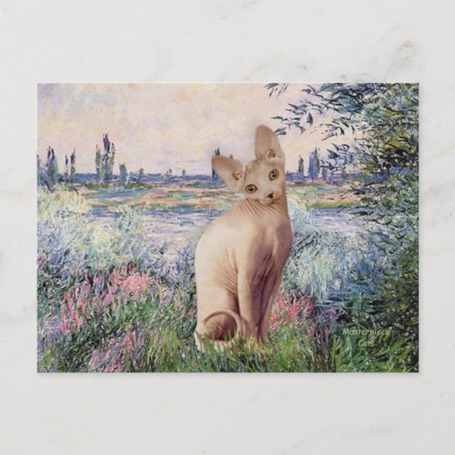 Carte Postale Au bord de la Seine - Chat Sphynx crème (Devant)