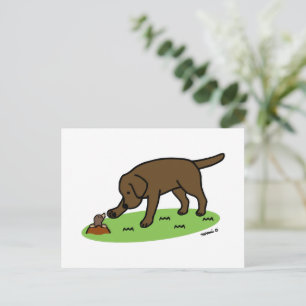 Carte postale au chocolat Labrador