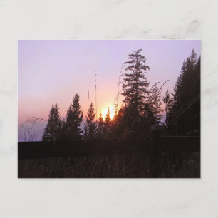 Carte Postale Au-delà des arbres......Carte postales