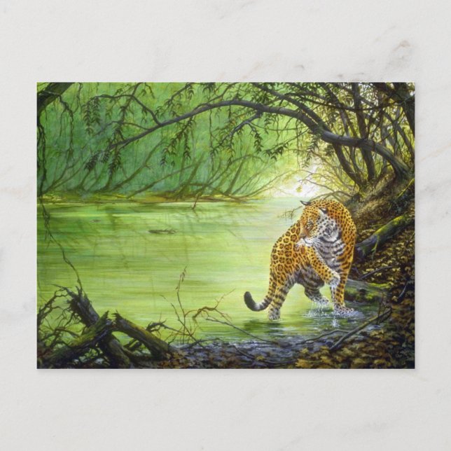 Carte Postale Au fond des bois, Jaguar (Devant)