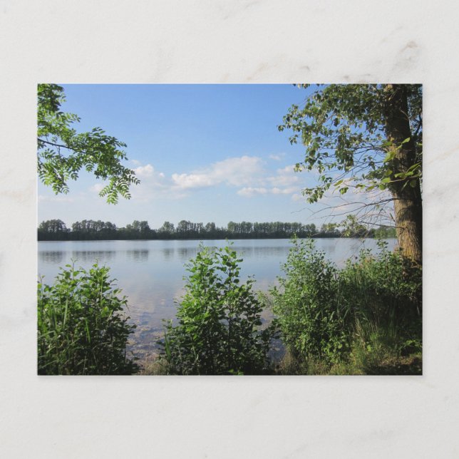 Carte Postale Au lac naturel (Devant)