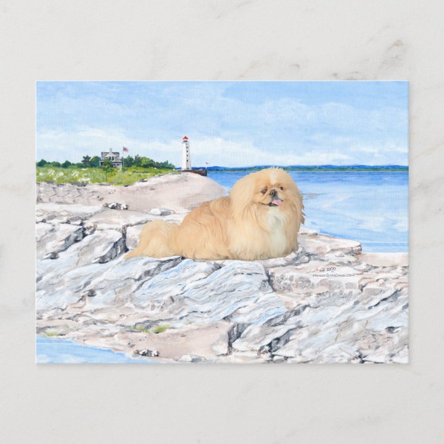 Carte Postale Au phare (Devant)