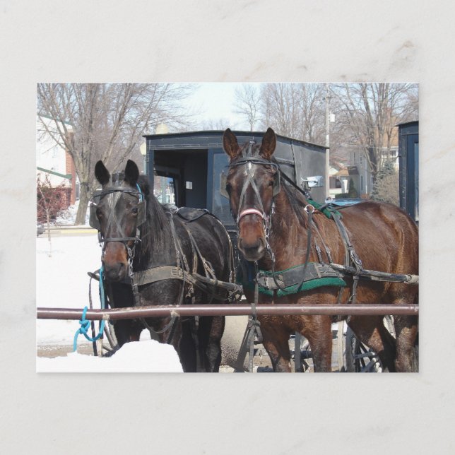 Carte Postale Au poste de tir (Devant)