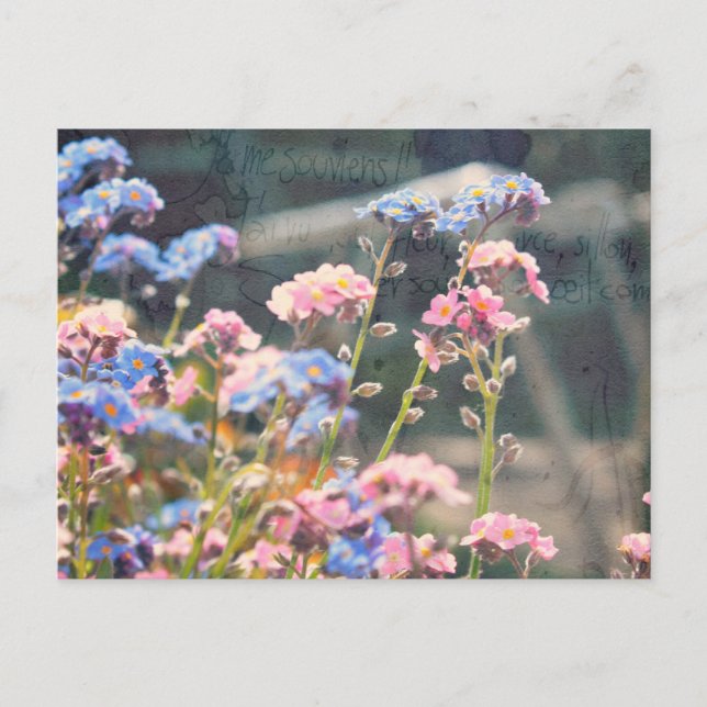 Carte Postale Au printemps jardin (Devant)