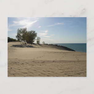 Carte Postale Au sommet du mont Baldy, Parc national des dunes d
