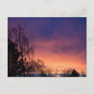 Carte Postale Aube hivernale Extraordinaire