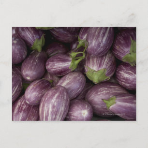 Carte Postale aubergines pourpres du New Jersey