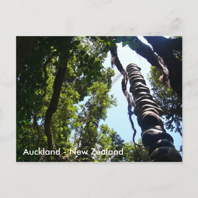 Carte postale Auckland (Devant)