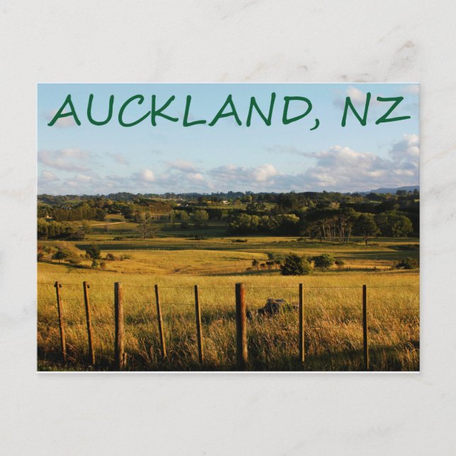 Carte postale Auckland, Nouvelle-Zélande (Devant)