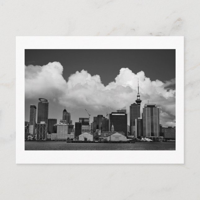 Carte Postale Auckland Nouvelle-Zélande (Devant)