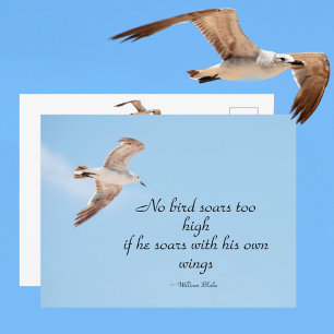 Carte Postale Aucun oiseau ne s'enfonce trop haut mouette en ble