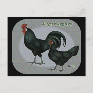 Carte Postale Augsburger Fowl