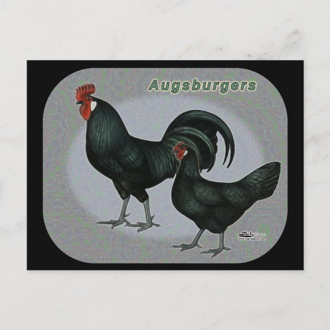 Carte Postale Augsburger Fowl (Devant)