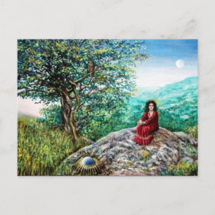 CARTE POSTALE AURORA