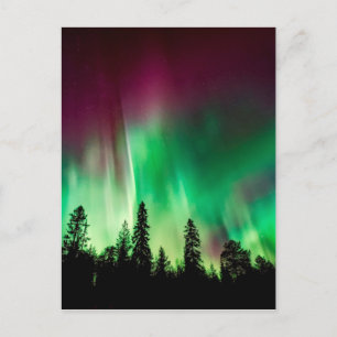 Carte Postale aurora boréale
