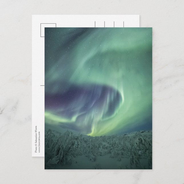 Carte Postale Aurora Borealis (Devant / Derrière)