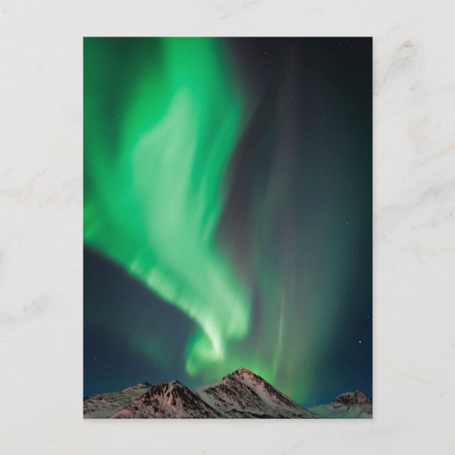 Carte Postale Aurora Borealis | Ancrage, Alaska (Devant)