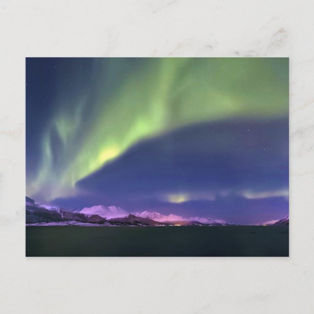Carte Postale Aurora Borealis au-dessus de Lyngenfjorden Norvège (Devant)