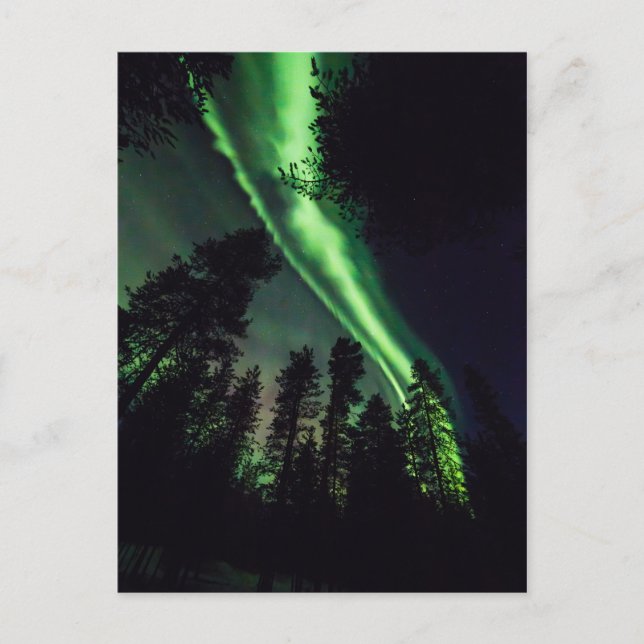 Carte Postale Aurora borealis en Laponie finlandaise (Devant)